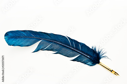 blue quill feather pen photo