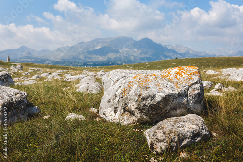 Medieval tombstones,  stecci in Durmitor National park,  Montenegro, Europe.  Selective focus photo