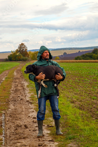 A man walks his dog in a field after a thunderstorm. Guy with staffordshire terrier in nature on a cloudy day. The concept of freedom, happiness, friendship, nature.