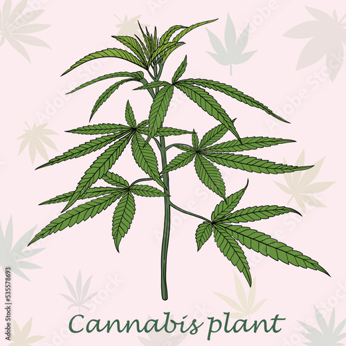 Simplicity cannabis plant freehand drawing flat design.