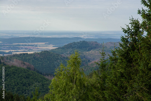 Landschaft im Harz 