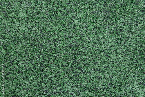 Artificial green Grass for background, texture. copy space for text