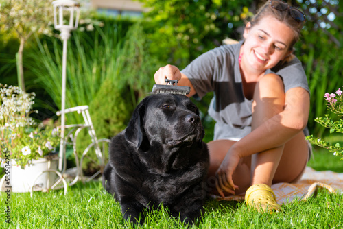 uśmiechnięta młoda dziewczyna szczotkuje psa w ogrodzie