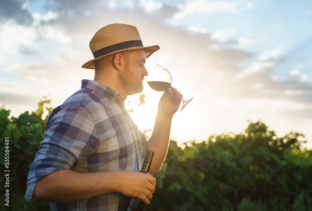 Authentic shot of happy successful male winemaker is tasting a flavor and checking red wine quality poured in transparent glass on vineyards background at sunset. Authentic shot of happy successful male winemaker is tasting a flavor and checking red wine quality poured in transparent glass on vineyards background at sunset.