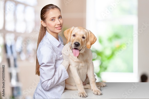 Young woman veterinarian hold a dog pet in clinic © BillionPhotos.com