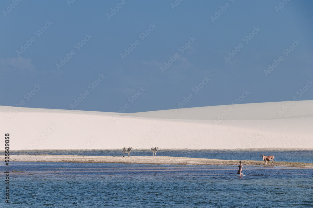 white sand / lençois maranhenses
