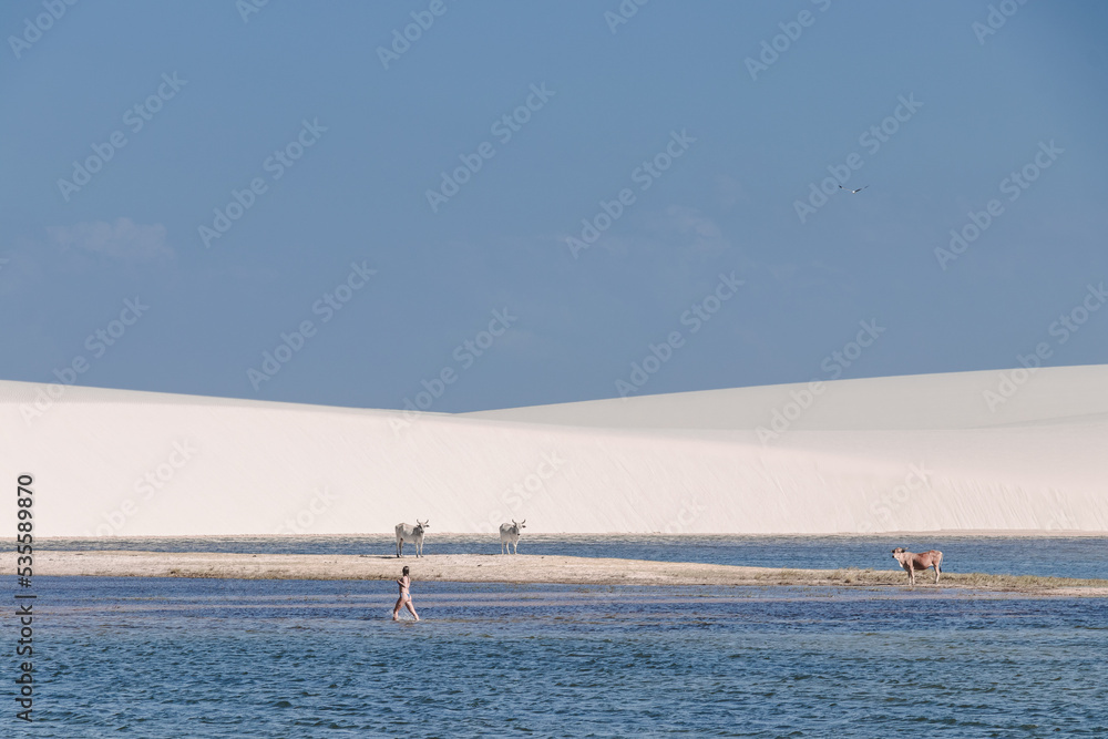 white sand / lençois maranhenses