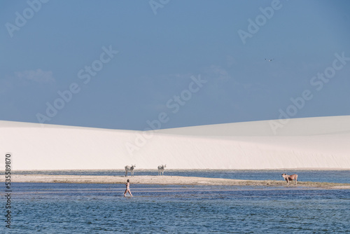 Obraz na płótnie white sand / lençois maranhenses w salonie