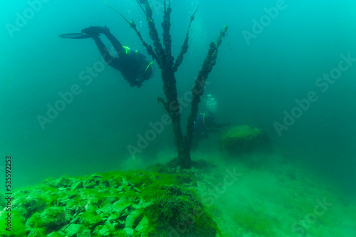 SCUBA divers exploring a strange and alien underwater landscape