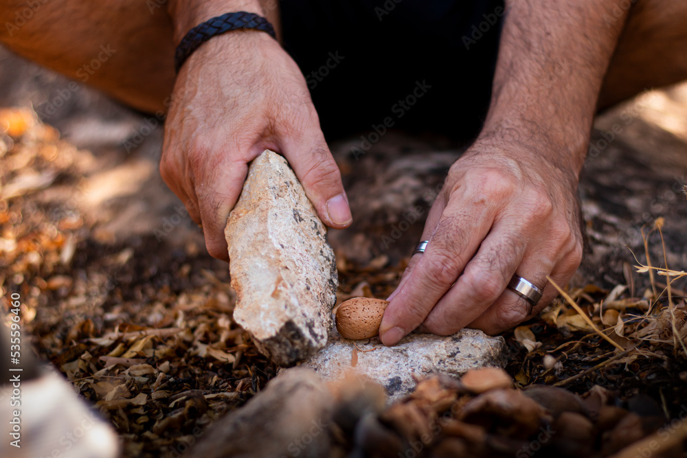 Man's hands in the field hitting an almond with a stone to open it and eat its fruit. Man's hands in the field hitting an almond with a stone to open it and eat its fruit.