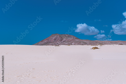 desert and sand dunes in Fuerteventura  dunes de corralejo