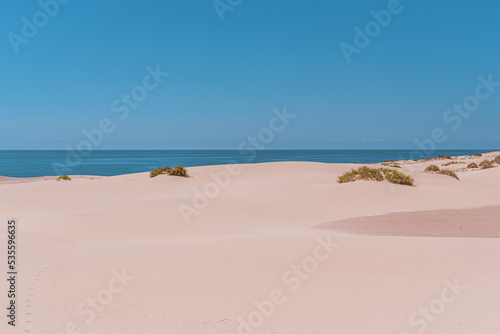 desert and sand dunes in Fuerteventura, dunes de corralejo