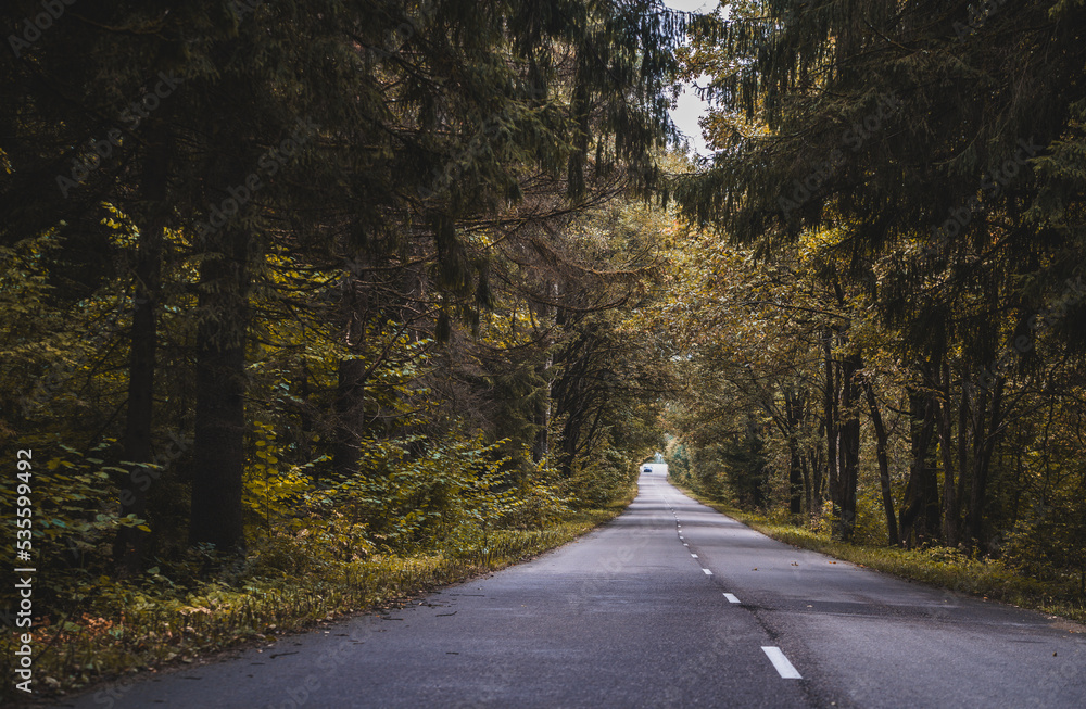 road in autumn in Belarus road in autumn in Belarus