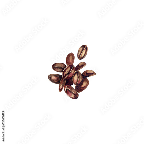 Roasted coffee beans, arabica, robusta. Watercolor illustration.