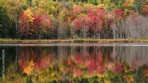 Tableau sur toile A beautiful variation of colors in the forest during autumn at Bon Echo Provinci
