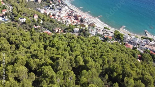colla micheri