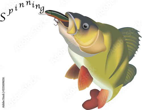 sport fishing spinning with sea bass-