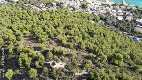 colla micheri