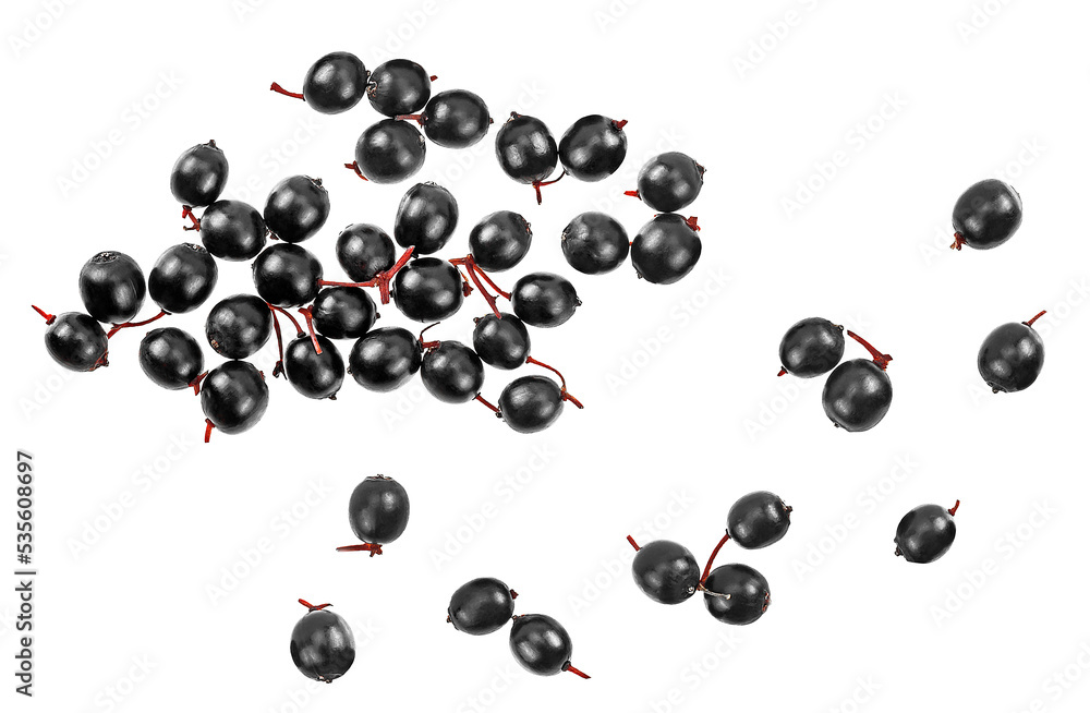 Sambucus - pile of elderberries isolated on a white background, top view. Sambucus - pile of elderberries isolated on a white background, top view.