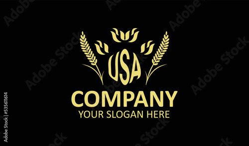 USA Polygon logo design monogram, USA polygon vector logo, USA with Polygon shape, USA template with matching color, USA polygon logo Simple, Elegant, USA Luxurious Logo, USA Vector pro, 
