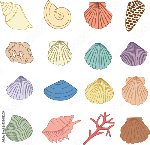 Colorful seashells set vector illustration