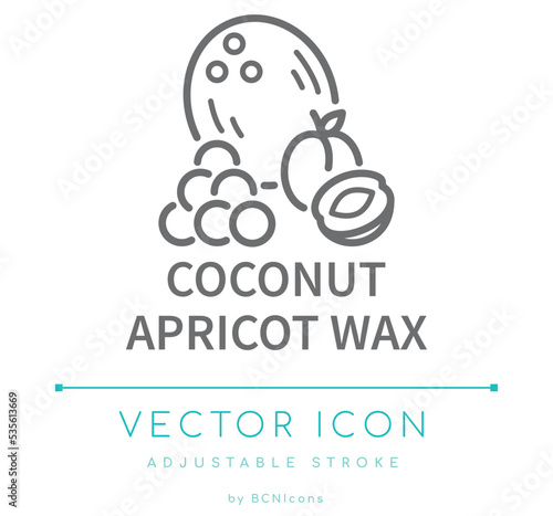 Coconut Apricot Wax Line Icon