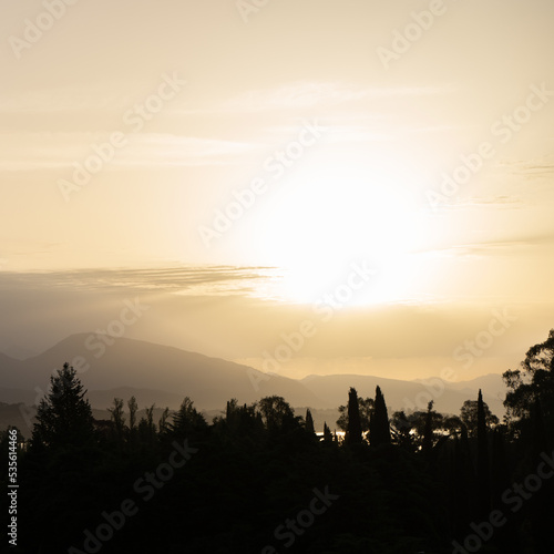 Sunrise on the southern coast of the sea, golden bright sun, black silhouettes of cypresses and mountains © Olga