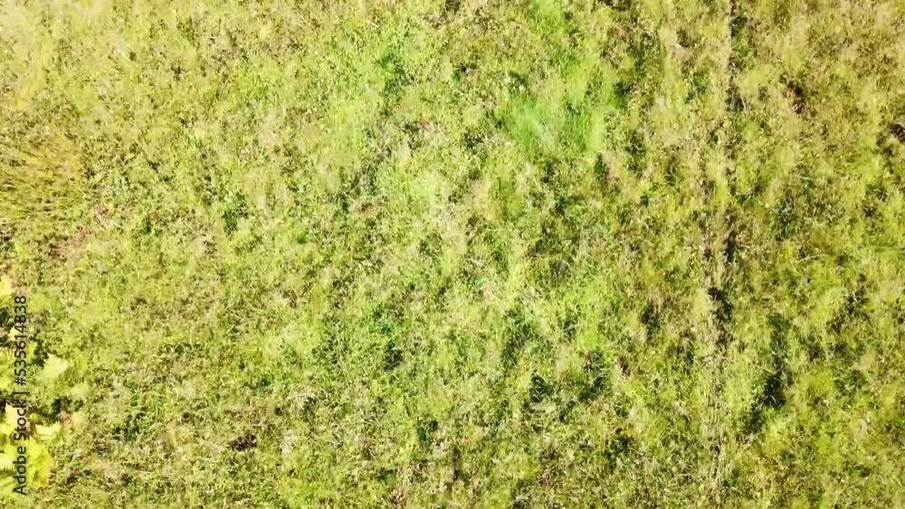 Flying over grassland and woodland Flying over grassland and woodland