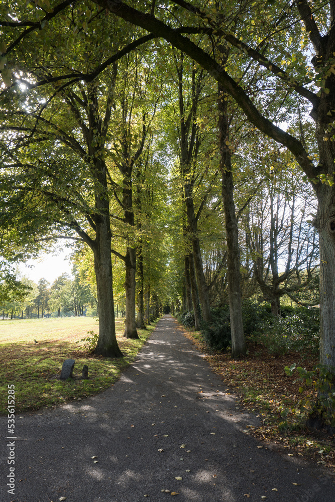 A path in park De Goffert (Goffertpark) on a sunny afternoon in early autumn