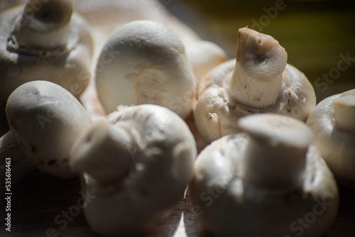 White Mushroom Group