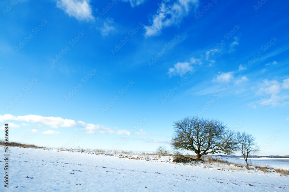 silhouette of lonely tree on the hill in Poland, Europe on sunny day in winter, amazing clouds in blue sky silhouette of lonely tree on the hill in Poland, Europe on sunny day in winter, amazing clouds in blue sky