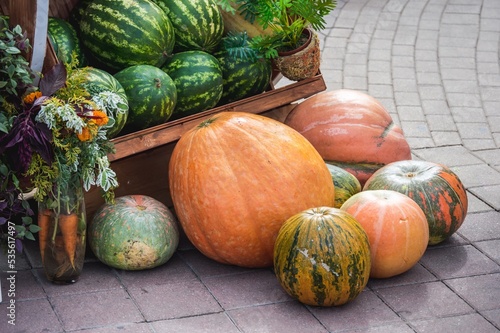 Autumn harvest trade fair. Pile of green and orange pumpkins and striped watermelons in wooden vehicle