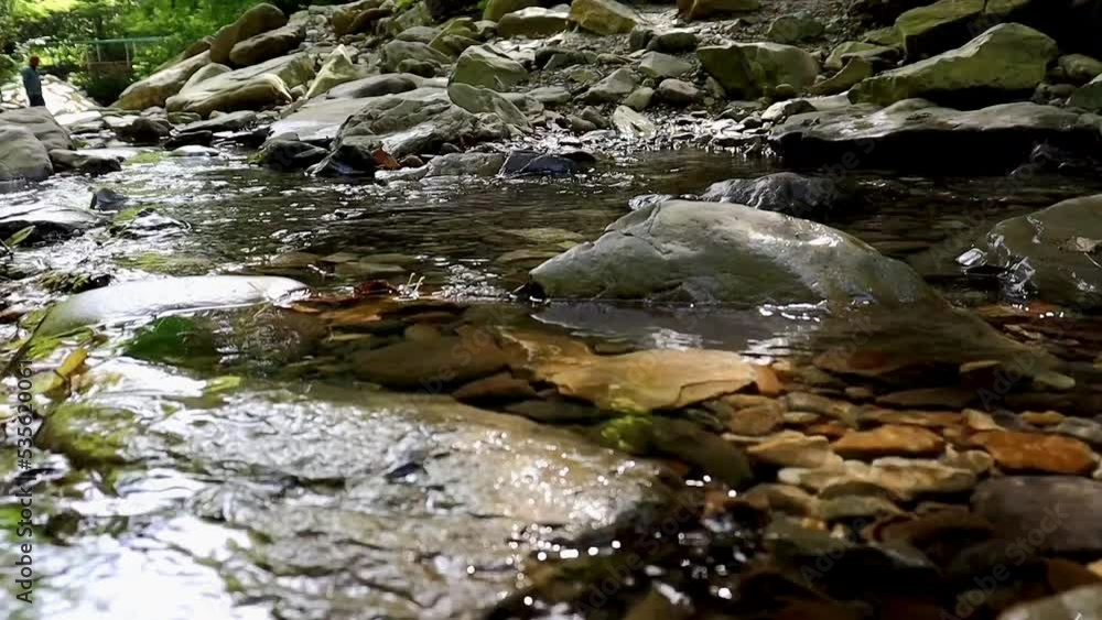 mountain river runs on stones mountain river runs on stones