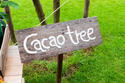 Photography Cacao tree sign at cacao farm.
