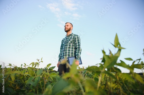 Young agronomist holds tablet touch pad computer in the soy field and examining crops before harvesting. Agribusiness concept. agricultural engineer standing in a soy field with a tablet in summer.