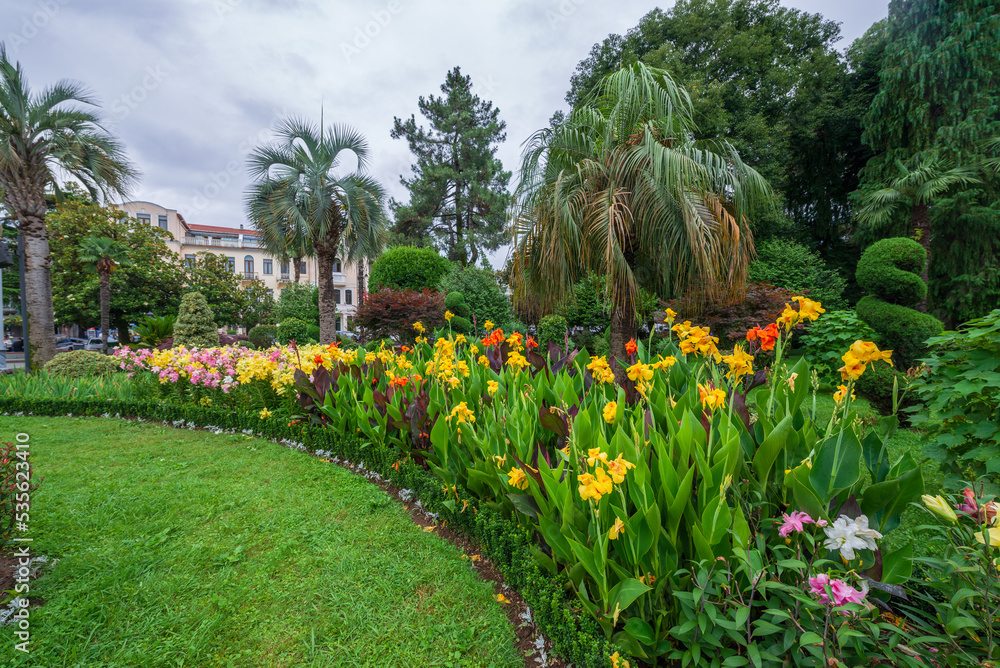 Palm trees and vivid flowerbed in the park