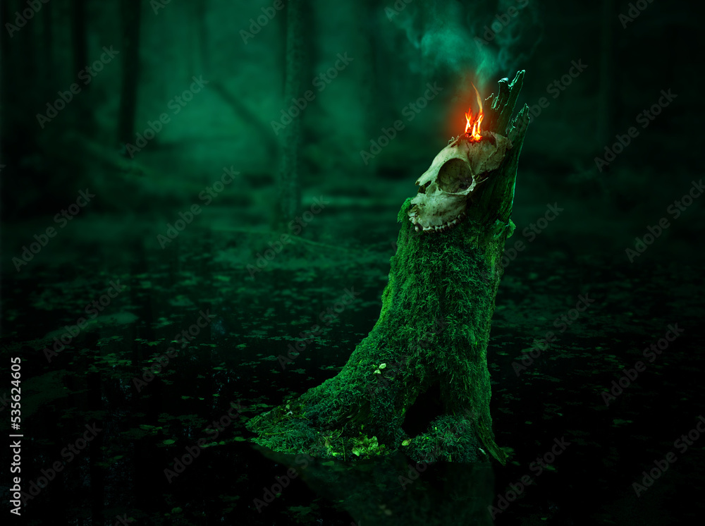 Pagan ritual. Skull with sacred flame and smoke on mossy stump in the middle of black swamp. Mysterious forest scene
