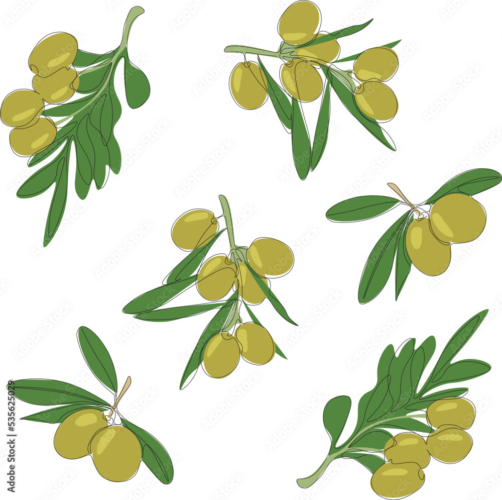 Olives vector pattern. Vector illustration Olives. One line drawing