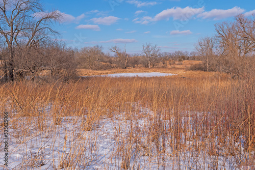 Grasslands and Wetlands in the Winter