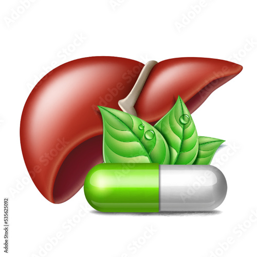 Human liver and medicine capsules with green leaves.