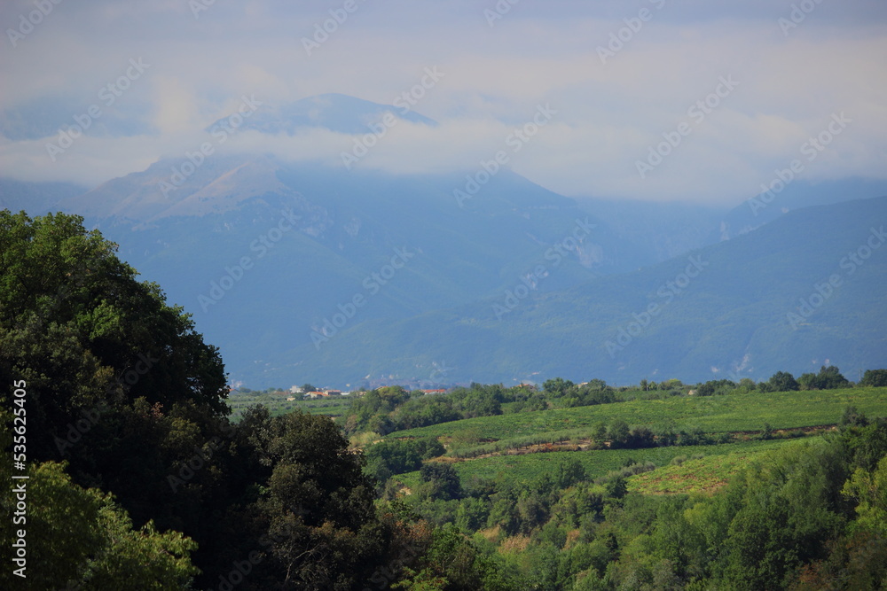 Fototapeta premium rural