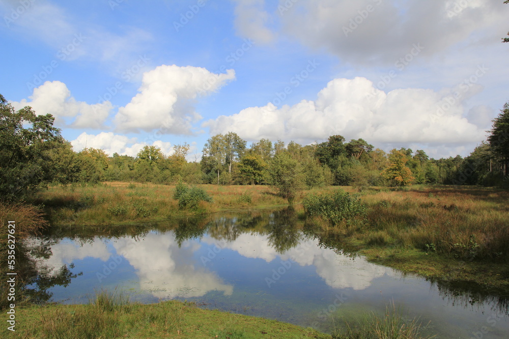 beautiful reflection of the blue sky with clouds in the water of the pool in a a green open forest in autumn
