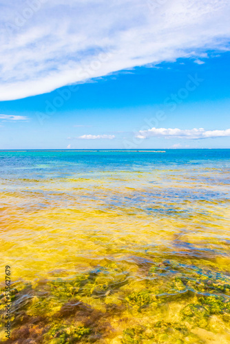 Fototapeta Naklejka Na Ścianę i Meble -  Tropical beach clear turquoise water rocks Playa del Carmen Mexico.
