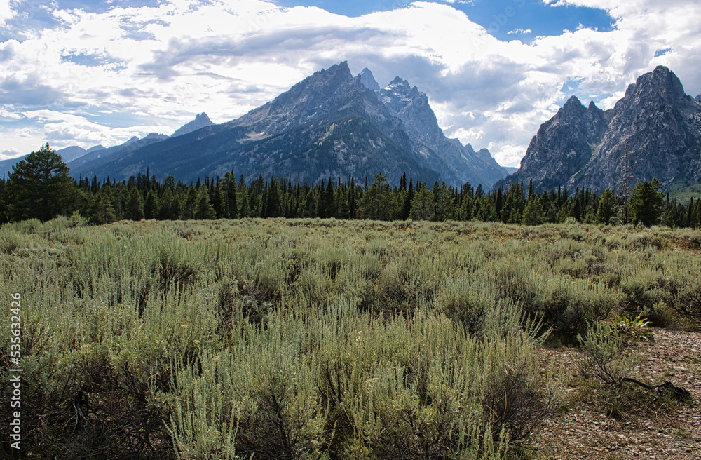Landscape view of sagebrush (Artemisia tridentata) meadow overlooked by the Cathedral Group portion of the Teton Range. Taken in Grand Teton National Park.
