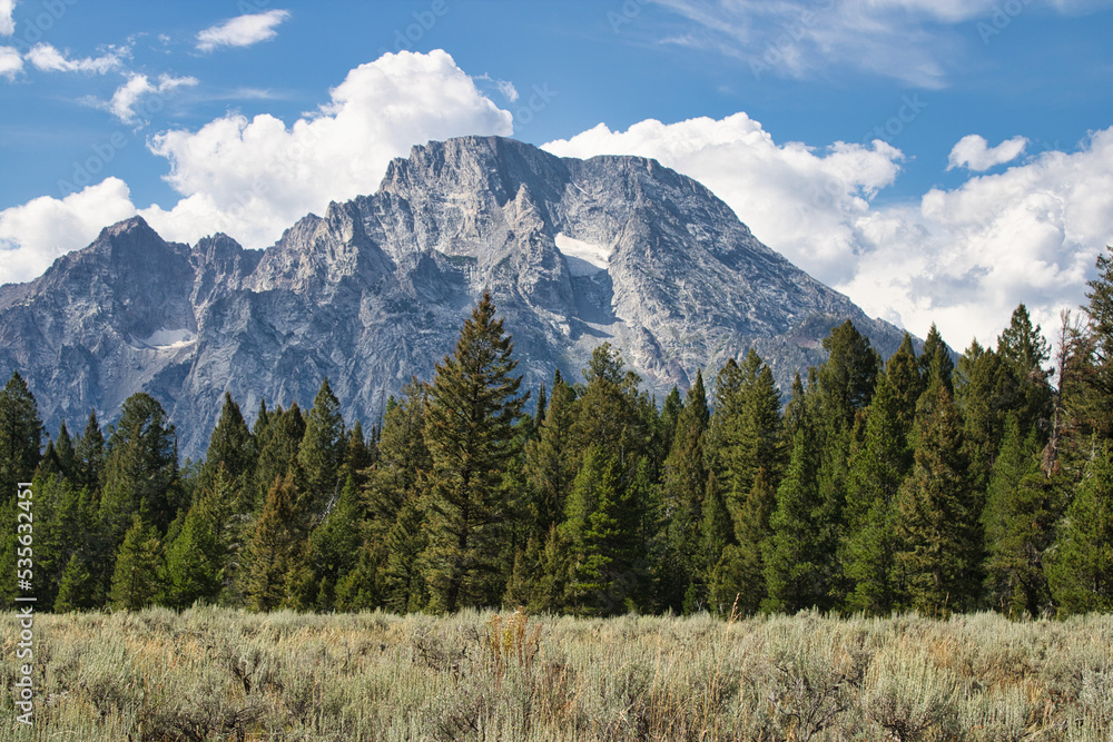 Obraz premium Landscape of a meadow and evergreen forest with Mount Moran rising in the distance. Taken from the Cathedral Group turnout in Grand Teton National Park.