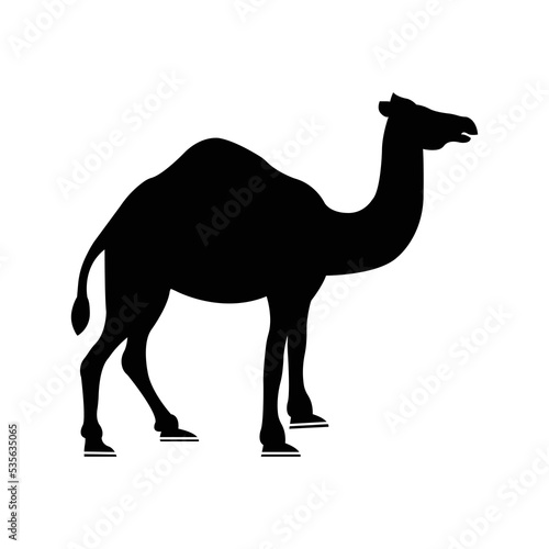 Animals of the desert camel icon   Black Vector illustration  