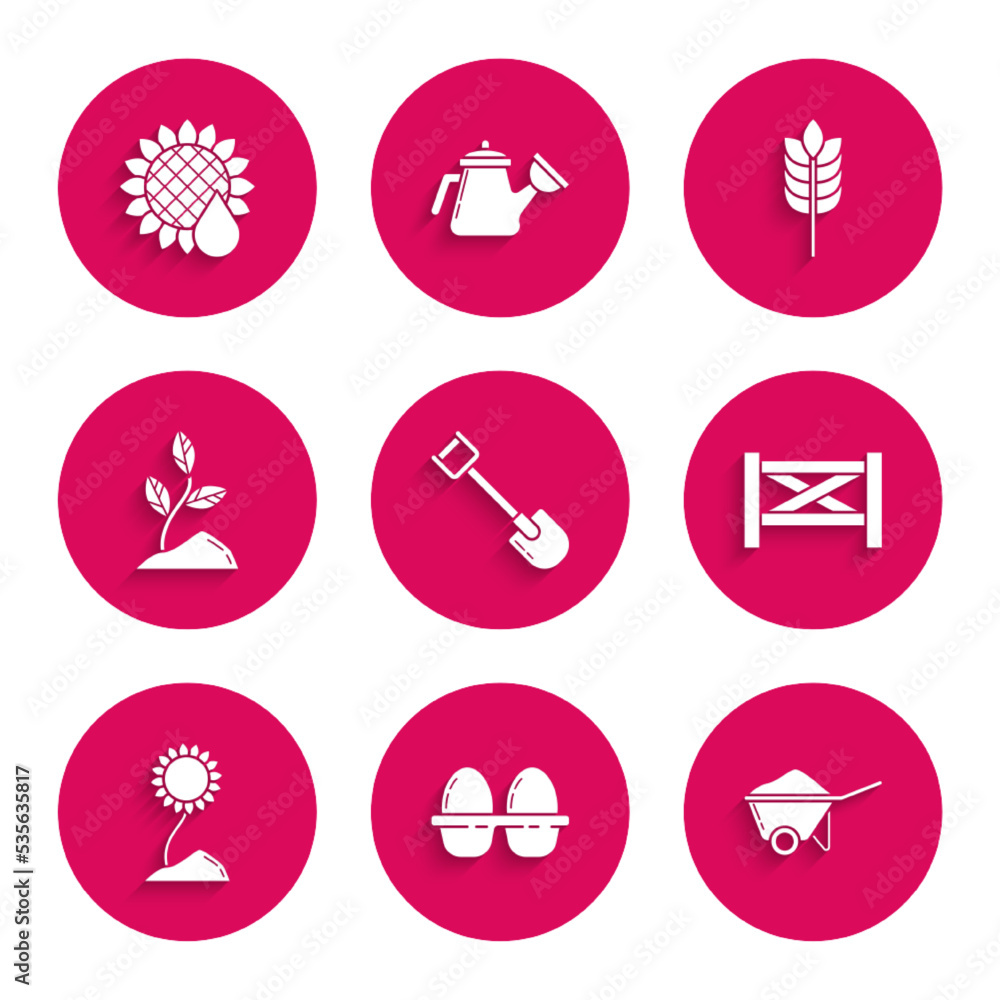 Set Shovel, Chicken egg in box, Wheelbarrow with dirt, Garden fence wooden, Sunflower, Sprout, Cereals rice, wheat, corn, oats, rye and icon. Vector Set Shovel, Chicken egg in box, Wheelbarrow with dirt, Garden fence wooden, Sunflower, Sprout, Cereals rice, wheat, corn, oats, rye and icon. Vector