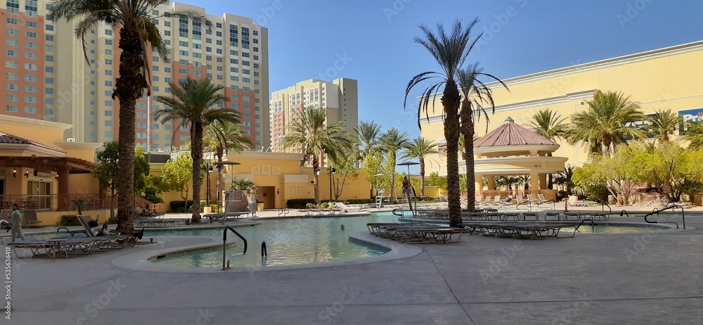 Fototapeta premium trees country