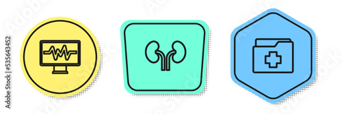 Set line Monitor with cardiogram, Human kidneys and Patient record. Colored shapes. Vector