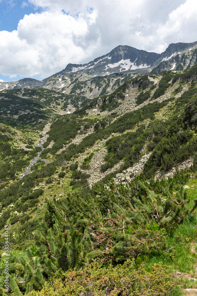 Naklejka premium Landscape of Pirin Mountain, Bulgaria